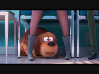 Русский трейлер Тайная жизнь домашних животных 2 / The Secret Life of Pets 2 (2019)