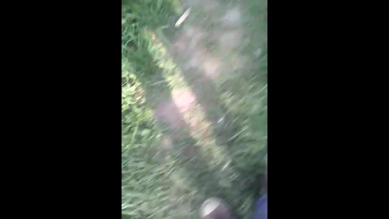 VID_20190521_170341.mp4