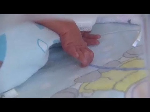 В Кракове родилась шестерня