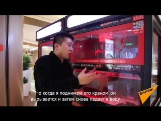 Живой омар вместо мягкой игрушки: развлечение в китайском ресторане