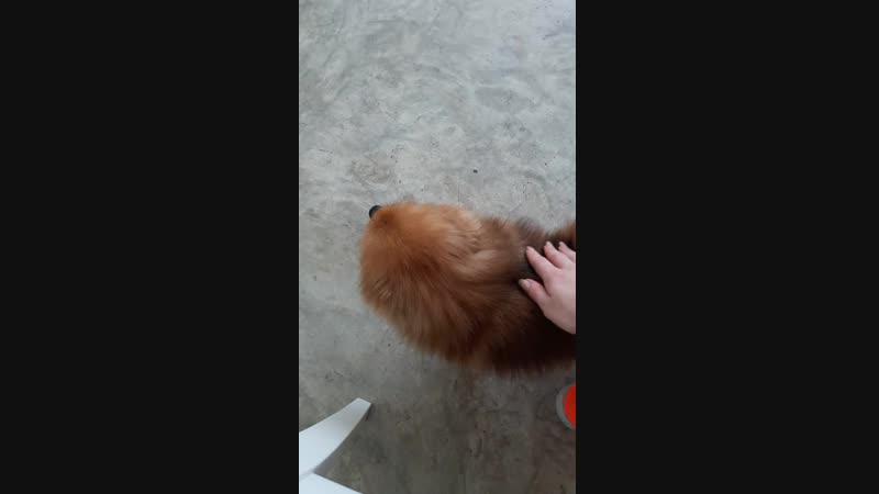 20180912_141014.mp4
