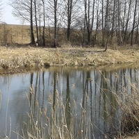 Михаил Смирнов