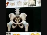 PornHub комменты (читай описание) секс порно геи молодые милф анал, инцест зрелые би лесби MILF БДСМ