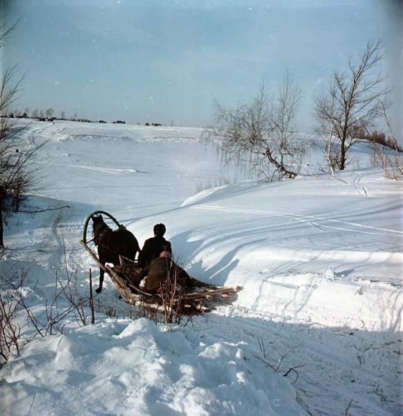 Зима в объективе Всеволода Тарасевича Всеволод Сергеевич Тарасевич (19191998) родился в Москве. Всеволод Тарасевич начал публиковать снимки в газетах «Смена» и «Ленинградская правда», ещё учась