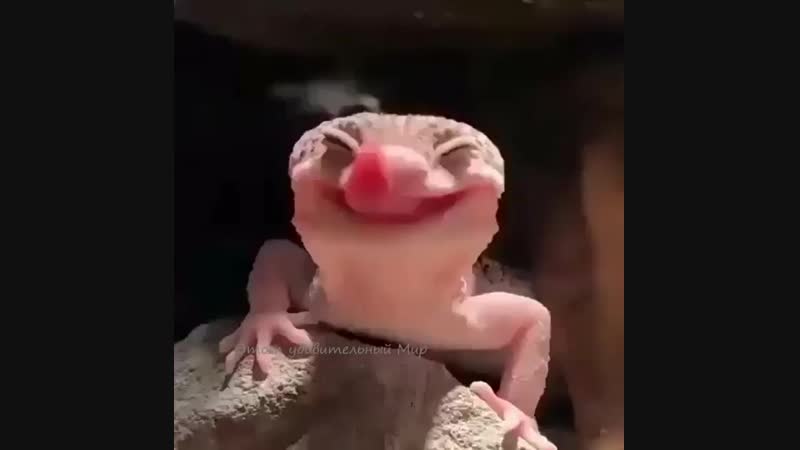 Всем хорошего настроения!