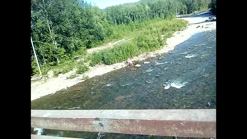 VID_20190622_170315.3gp