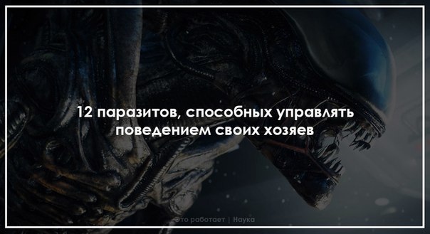 12 паразитов, способных управлять поведением своих хозяев. Многие паразиты просто живут за счёт своих хозяев, в то время как другие решают, когда их хозяева должны умереть. Но есть и такие,