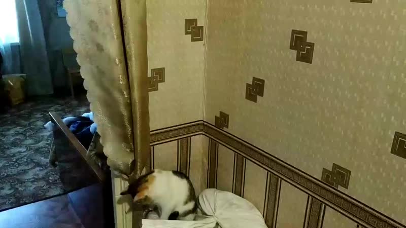 VID_20190122_101130 (1).mp4