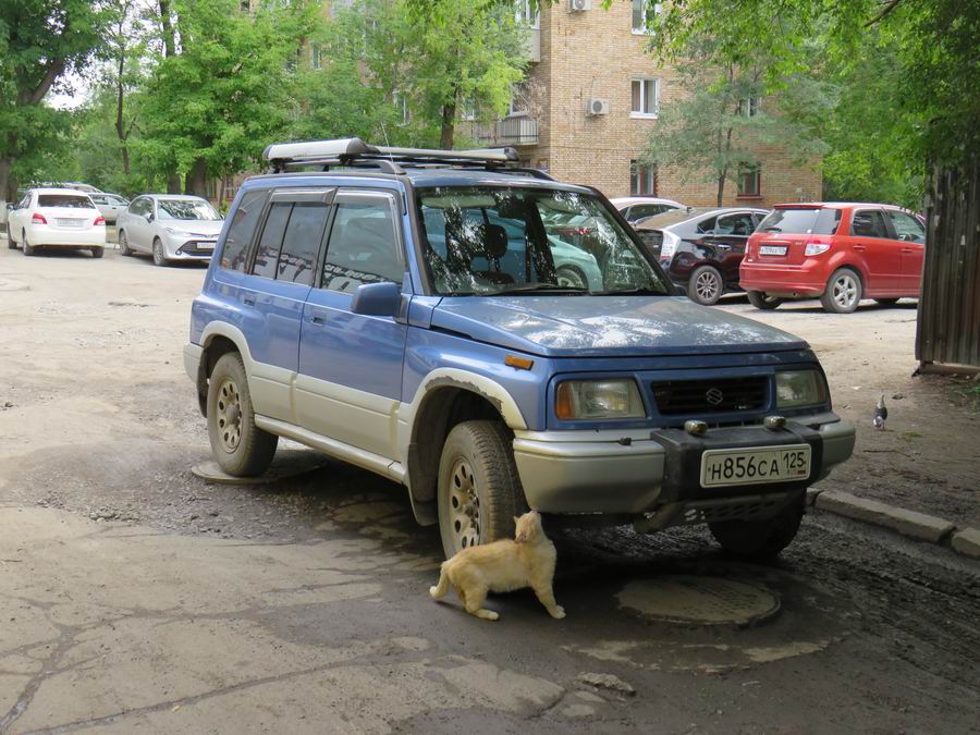 Транспорт Приморья - Июль 2019 daihatsu,маз (мзкт),грузовые автомобили,toyota,смз,зил,пожарные автомобили,chevrolet,камаз,mitsubishi,уралаз (уралзис),дальний восток,honda,isuzu,газ,suzuki,nissan,ваз,правый руль,полиция,tatra