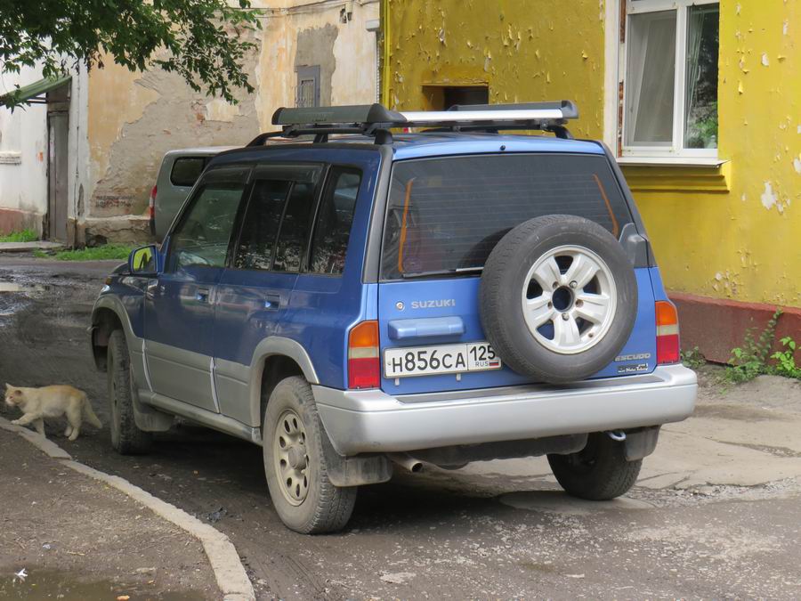 Транспорт Приморья - Июль 2019 daihatsu,маз (мзкт),грузовые автомобили,toyota,смз,зил,пожарные автомобили,chevrolet,камаз,mitsubishi,уралаз (уралзис),дальний восток,honda,isuzu,газ,suzuki,nissan,ваз,правый руль,полиция,tatra