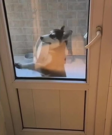 Dinner time!