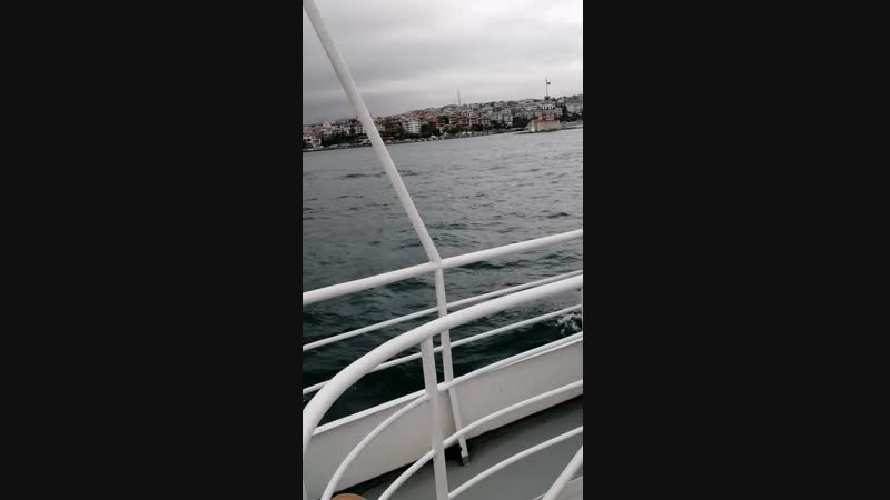 VID_20181017_120828.mp4