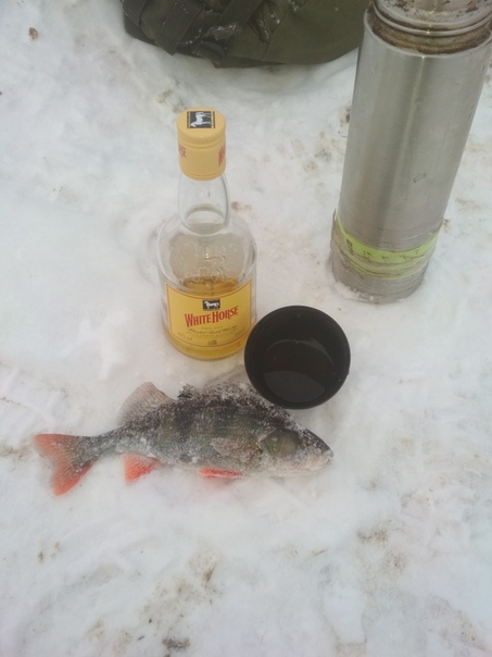 Рыбалка — Десногорское водохранилище, Смоленская область, 54.156, 33.240