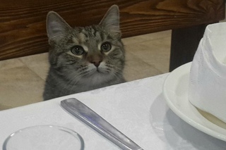 Заимка | Гостиница, баня, сауна Пермь