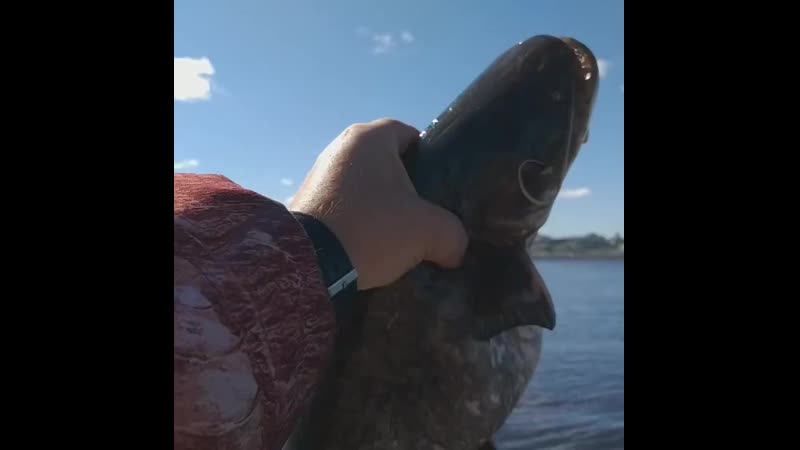 VID_75180205_081107_325.mp4