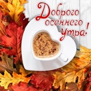 Объявление от Venera - фото №1