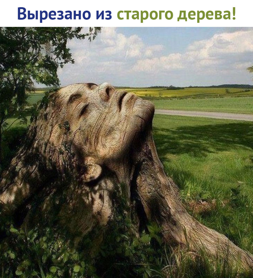 https://pp.userapi.com/c850720/v850720806/1c664/Z44JnJfMgZ4.jpg