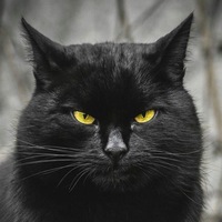 Максим Орлов