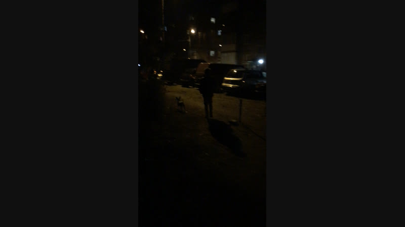 Костя Крут — Live
