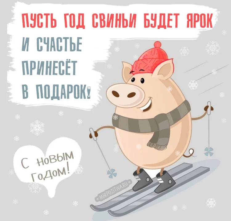 Картинки с Новым годом 2019 Свиньи: колоритные открытки с поздравлениями