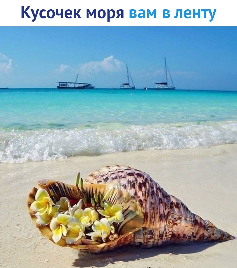 https://pp.userapi.com/c850724/v850724204/66f02/9t1VLRMqwcc.jpg