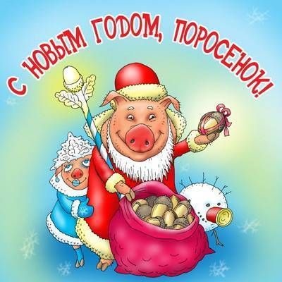 Картинки с Новым годом 2019 Свиньи: колоритные открытки с поздравлениями