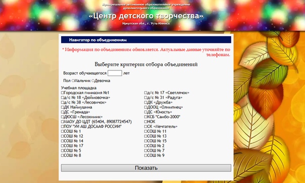 В Усть-Илимске запущен интернет-навигатор по подбору детских кружков по интересам