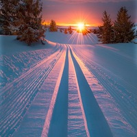 Юлия Ибрагимова | Москва