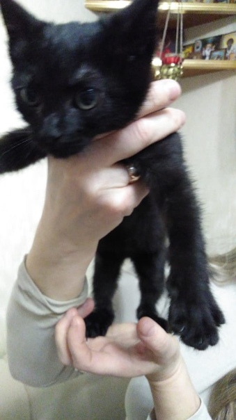 г.Пенза 
 Сегодня мне позвонили по телефону, сказали, что, 