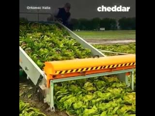 За последние 3,5 года в РФ было уничтожено более 27 тыс тонн санкционных продуктов. Удивлю ватное большинство россиян, но техник
