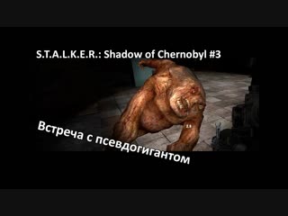 S.T.A.L.K.E.R.: Shadow of Chernobyl. Встреча с псевдогигантом