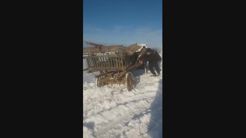 Без названия