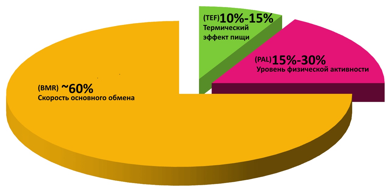 Общий ежедневный расход энергии (TDEE) Общий ежедневный расход энергии (TDEE)