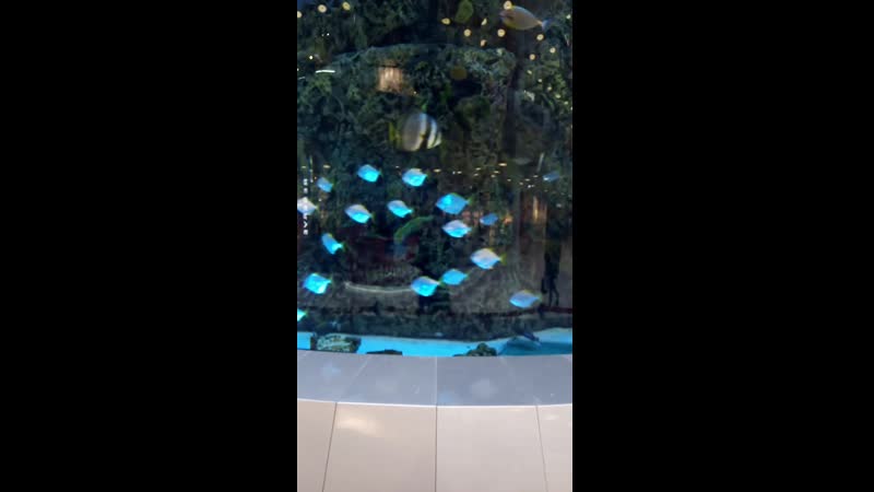 VID_20190225_141047.3gp