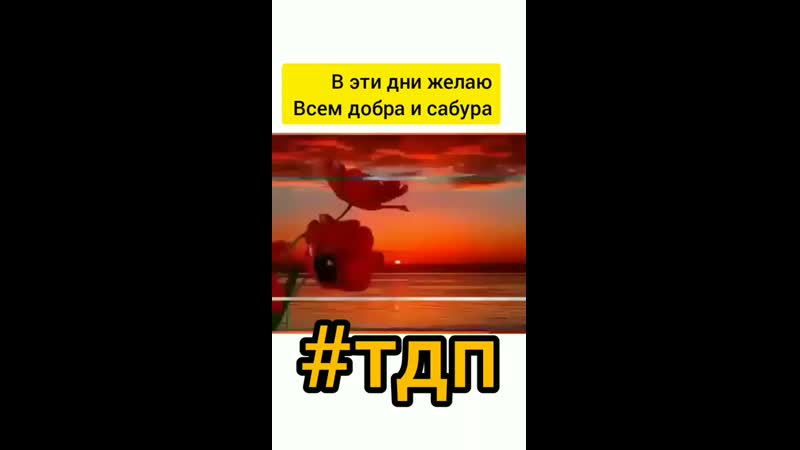 Tyt_darginskie_pesniByQxrRjAd75.mp4