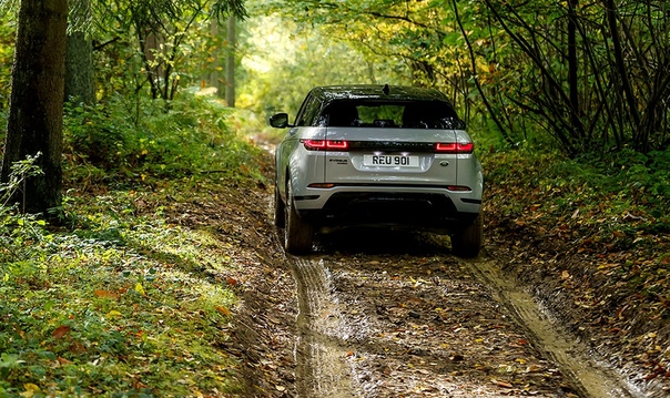 Range Rover представил Evoque нового поколения. Британцы представили свою самую доступную премиальную модель. В ней изменилось буквально все. Выдвижные ручки дверей, подзаряжаемый гибрид и