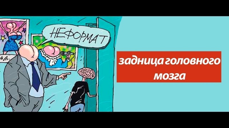 Задница головного мозга (dislive)