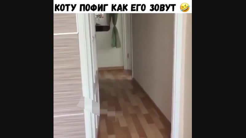 Главное, что покушать дают