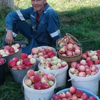 Валерий Рыбаков | 