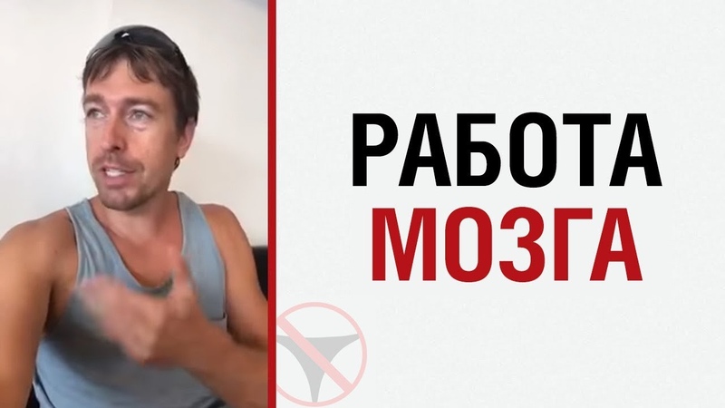 Алекс ЛЕСЛИ о работе мозга