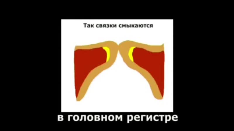 Смыкание голосовых связок