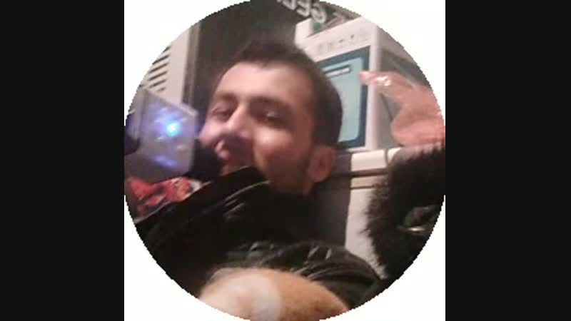 2_5350404991586665348.mp4