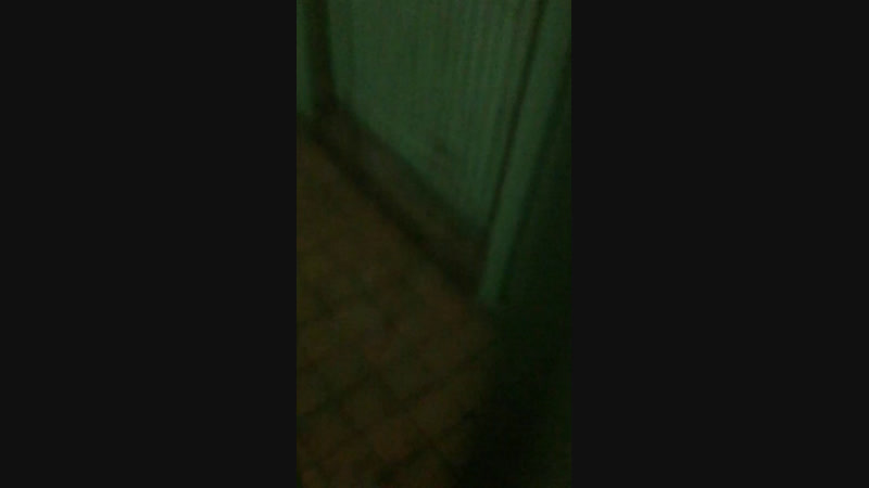 Гуляю с собакой