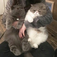 Кирилл Вернер | 