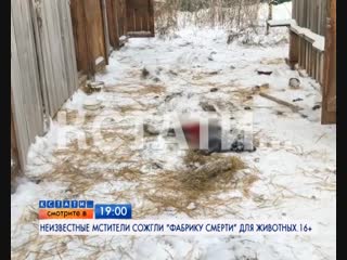 АНОНС: Неизвестные поджигатели сожгли сегодня ночью приют псевдо-зоозащитницы Инны Родионовой