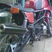 Коля Граздов