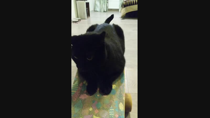 VID_20181225_180328.mp4