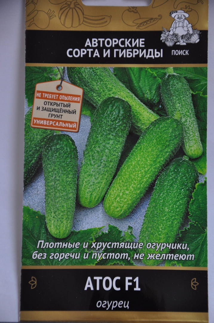Гибридные сорта или обычные - чему отдать предпочтение?