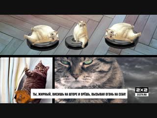 Морские котики [4 серия,