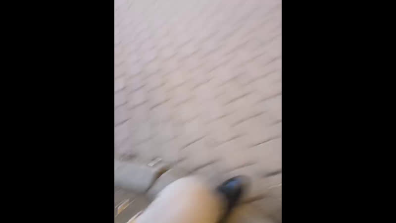 знакомства в СПб, Питере,... - Live